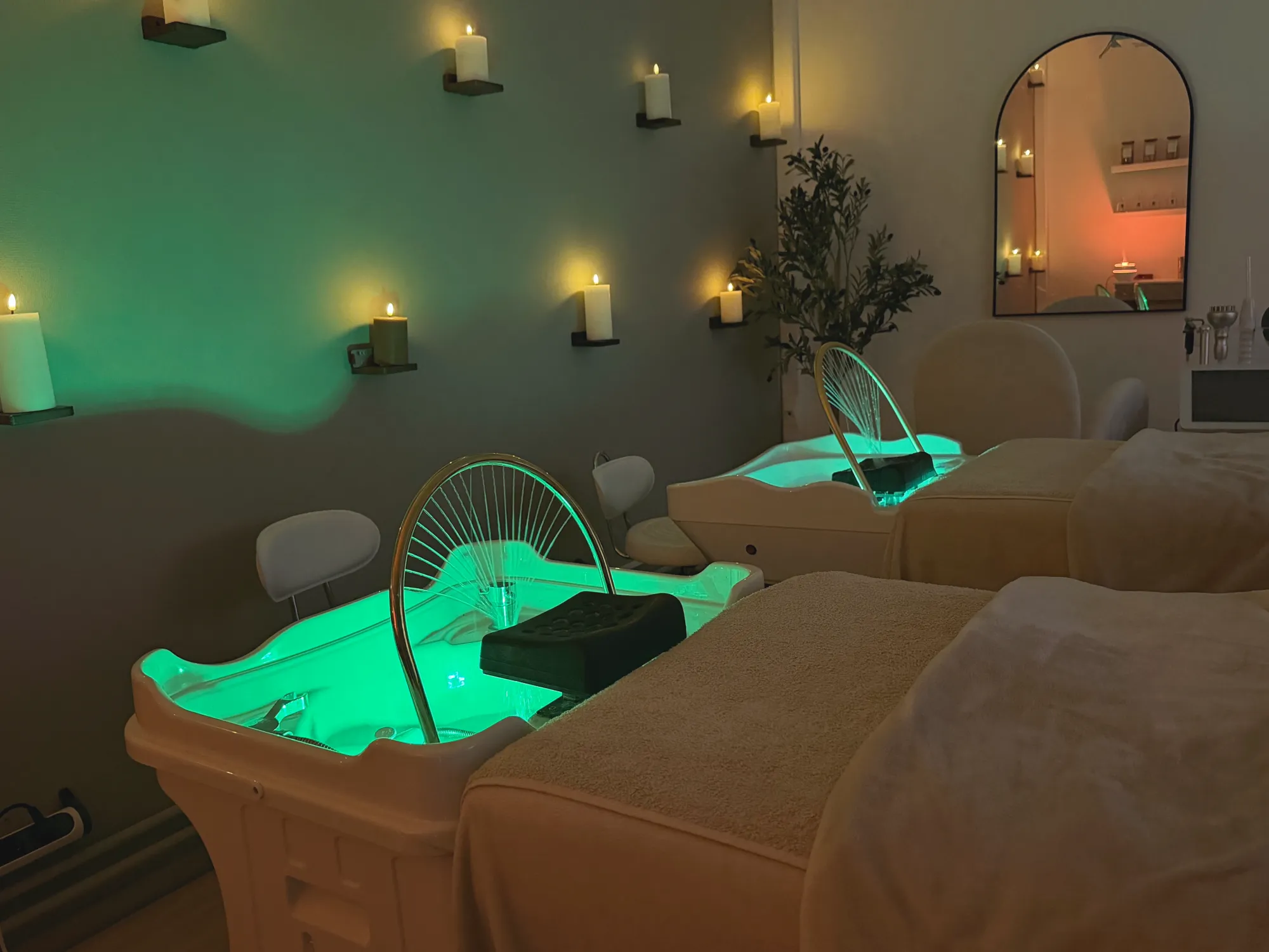 Ambiance zen et végétale du salon